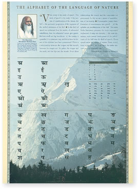 Sanskrit Alphabet Wall Poster