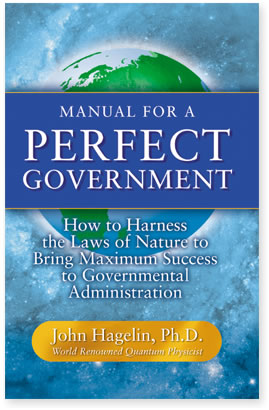 Manual for a Perfect Government